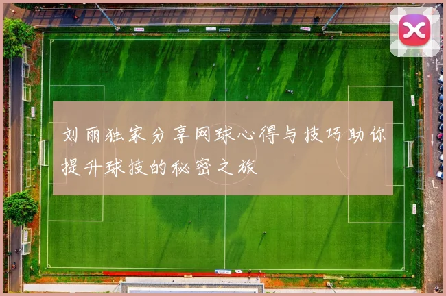 刘丽独家分享网球心得与技巧助你提升球技的秘密之旅