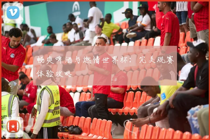 畅爽啤酒与燃情世界杯：完美观赛体验攻略
